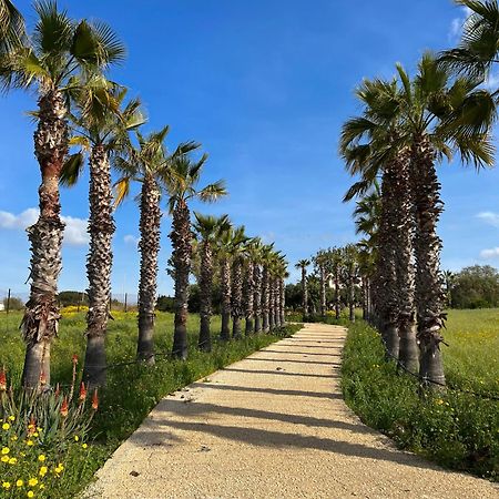 Villa Dea Sampieri Dış mekan fotoğraf