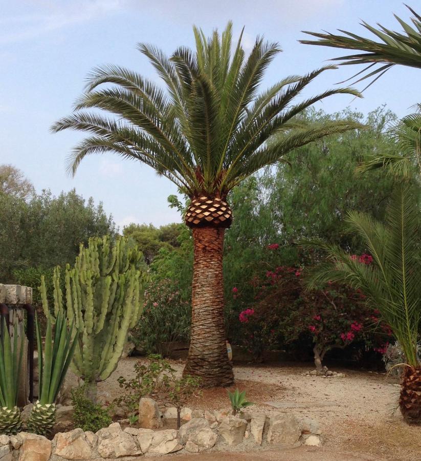 Villa Dea Sampieri Dış mekan fotoğraf