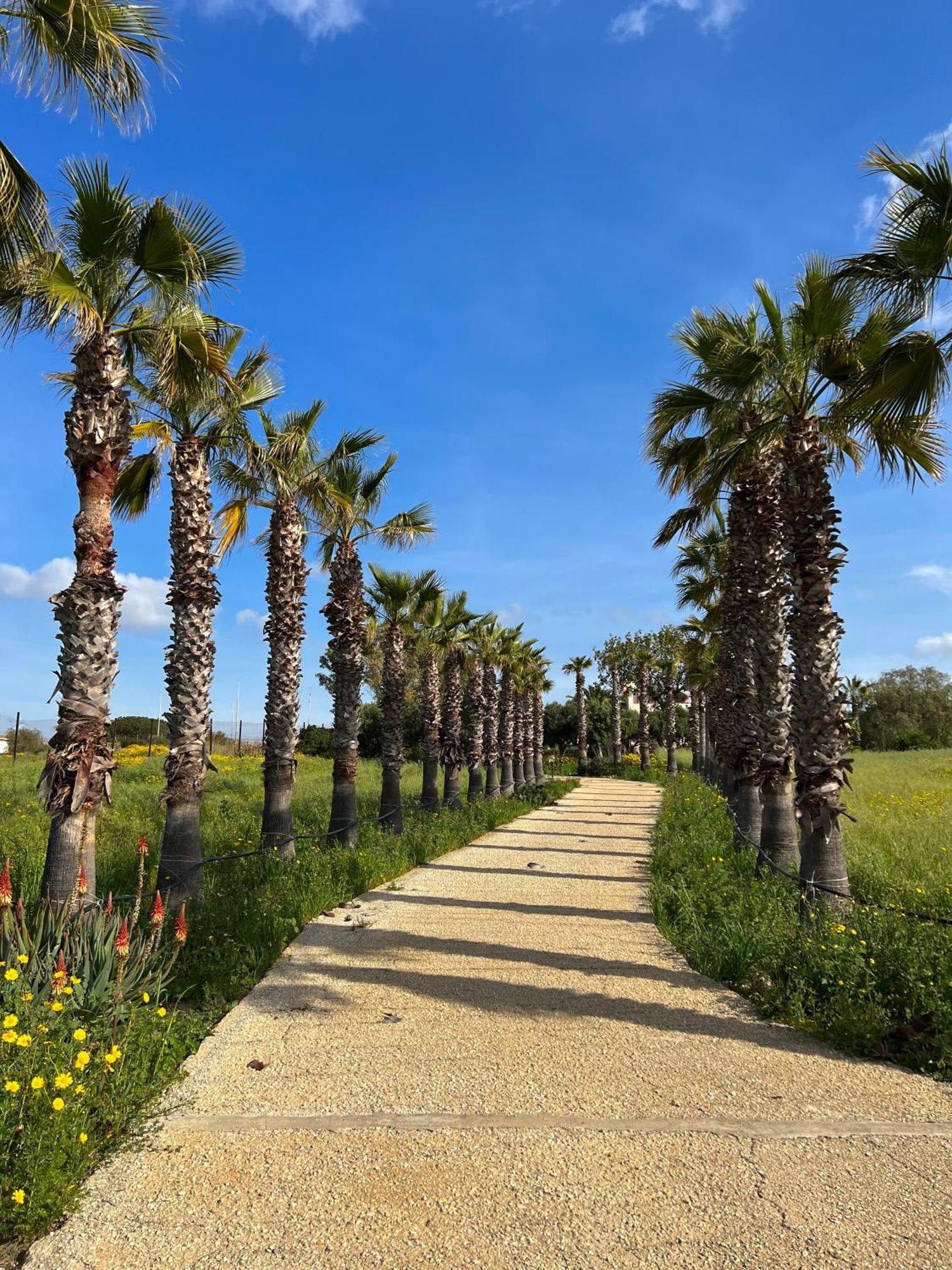 Villa Dea Sampieri Dış mekan fotoğraf
